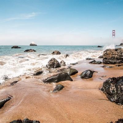 总裁驾到游戏