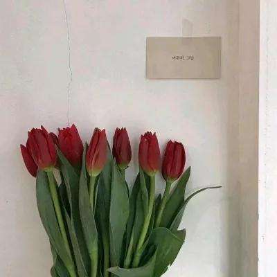 仙道行手游破解版下载