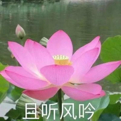 盗墓少年手游